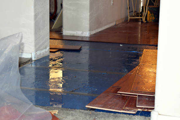 Professional Burst Pipe Cleanup technician working in Troy, ME